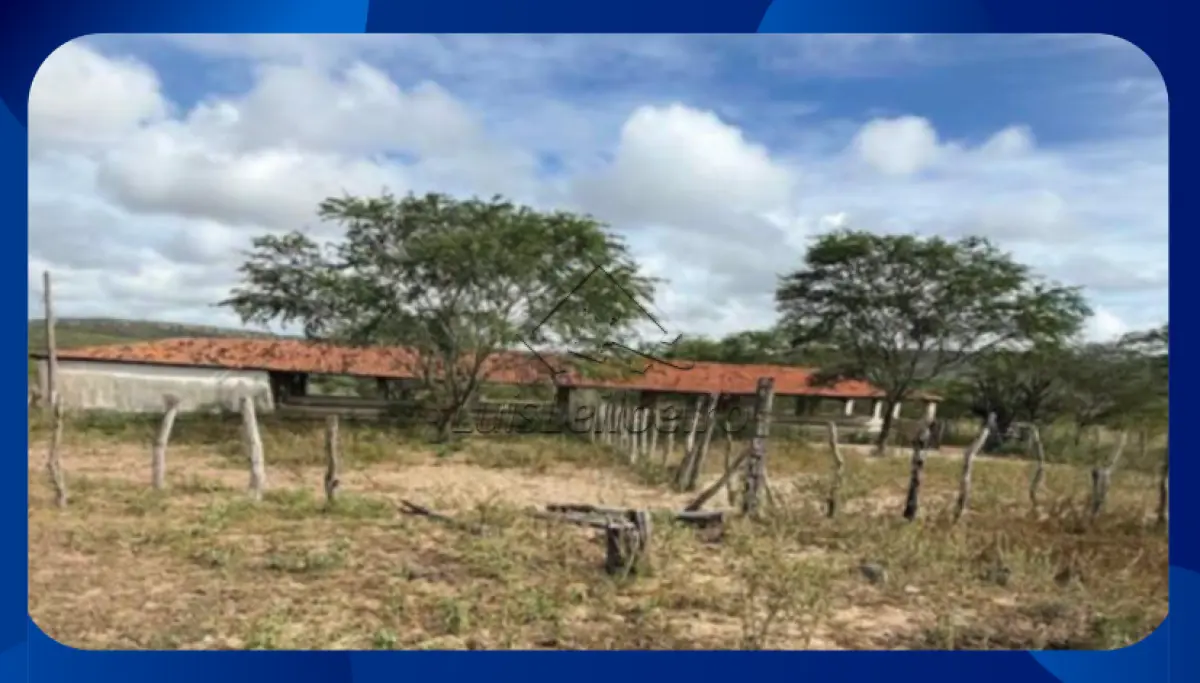 LOTE 063 - FAZENDA - Denominada Pitombeira (atualmente conhecida como Fazenda Venturosa), situada na área rural do município de Santa Brígida/BA. A propriedade compreende uma extensão de 400 tarefas (equivalente a 133 hectares).