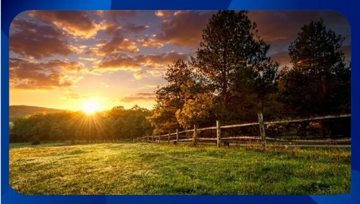 LOTE 196 - FAZENDA - Fazenda Novo Progresso, proximidades do Povoado de Queimada Nova, distante cerca de 16km da sede, Jussara/BA, Área de 100 hectares (1.000.000m²)