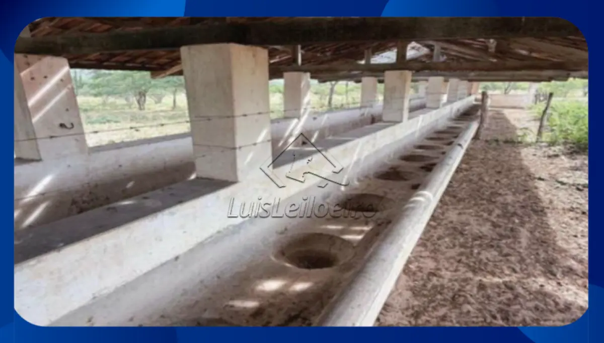 LOTE 063 - FAZENDA - Denominada Pitombeira (atualmente conhecida como Fazenda Venturosa), situada na área rural do município de Santa Brígida/BA. A propriedade compreende uma extensão de 400 tarefas (equivalente a 133 hectares).