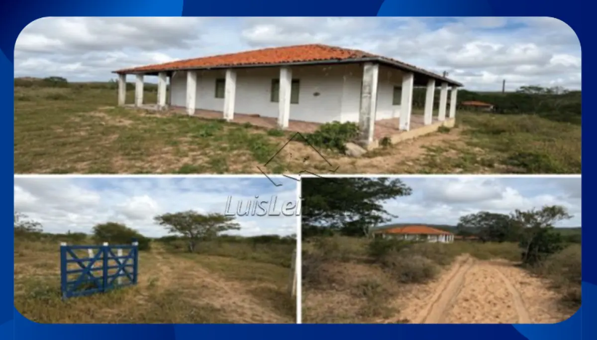 LOTE 063 - FAZENDA - Denominada Pitombeira (atualmente conhecida como Fazenda Venturosa), situada na área rural do município de Santa Brígida/BA. A propriedade compreende uma extensão de 400 tarefas (equivalente a 133 hectares).