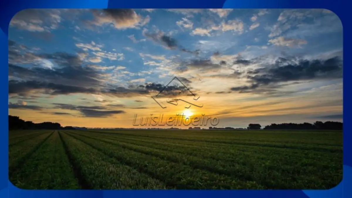 LOTE 143 - GLEBA DE TERRAS (PENHORA DE 6 HECTARES) - Fazenda São Bento, área penhorada de 6 hectares dentro de área maior de 66,4230 hectares, Distrito e Município de Carmo do Paranaíba/MG.