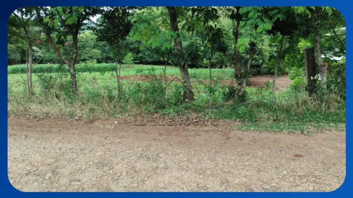 LOTE 040 - SÍTIO - Lote Rural nº 178, Gleba 33-AM, Núcleo Ampére, Colônia Missões, Santa Izabel do Oeste/PR, Área de 29.000m²