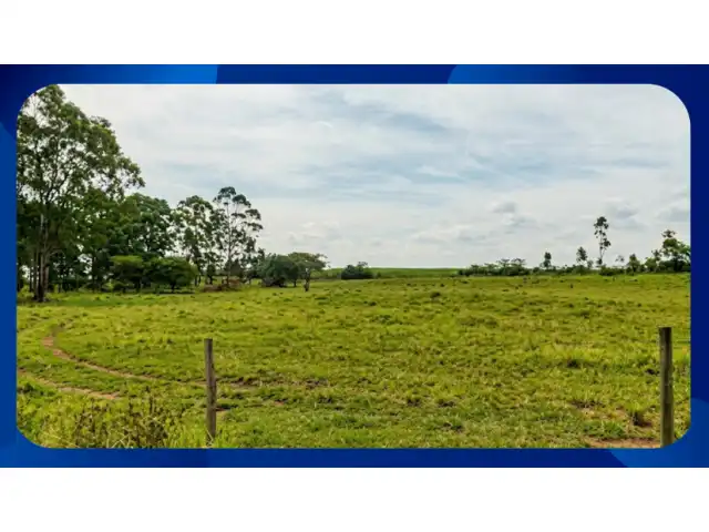 SÍTIO SÃO BENEDITO COM CAFEZAL PRODUTIVO EM CACONDE/SP