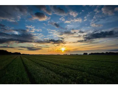 LOTE 0037 - Amplo terreno de 50.010 m² na zona rural de Itapissuma/PE, dentro da Fazenda Mangabeira, com 1.554,62 m² de área construída, incluindo dois galpões, área de apoio, escritório estruturado e guarita de segurança