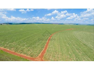 LOTE 00762 - Parte Ideal de Fazenda 223 hectares (total 100.000 hectares), Seringal Dionizio Amaral, Reforma, as margens do Rio Caeté, CRI 4.683