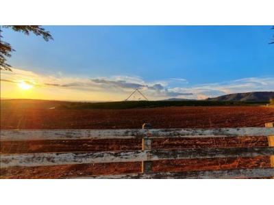LOTE 0162 - FAZENDA REX - POÇOS DE CALDAS