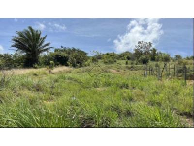 LOTE 0481 - Terreno Urbano desmembrado- Cidade de Águas Vermelhas 13.500.000m²