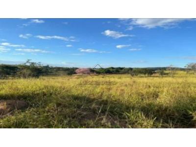 LOTE 0113 - FAZENDA EM SANTA LUZIA - Fazenda da Chicaca, também conhecida por Fazenda Bom Destino (registro nº 27.586), com endereço à Fazenda Bom Destino, Rodovia BR-381, km 450 s/n, bairro Bom Destino, Santa Luiza/MG