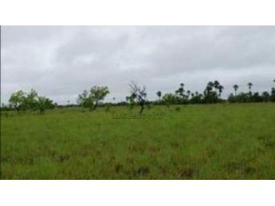LOTE 01011 - FAZENDA JUREMA, situada no município de Paratinga/BA, com área de 35 hectares, segundo RGI, tendo na realidade cerca de 10 hectares, segundo informações do executado.