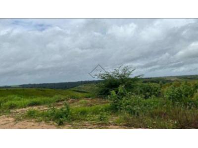 LOTE 020 - Área de terras próprias medindo aproximadamente 40 hectares, denominada de parcela 13, do imóvel rural denominado Itapirema do Meio, Itaquitinga/PE. Acesso pela BR 101, entrando à direita do Polo Industrial de Igarassu