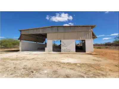 LOTE 0063 - IMÓVEL INDUSTRIAL, COM ÁREA DE 9.756HA, LOCALIZADO NA FAZENDA MORRO DAS ARARAS, ITUAÇU/BA. COM VÁRIOS GALPÓES EDIFICADOS, E OUTRAS BENFEITORIAS