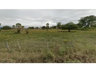 LOTE 00625 - FAZENDA ABISMO, MARAIAL/PE. COM ÁREA TOTAL DE 101 HECTARES