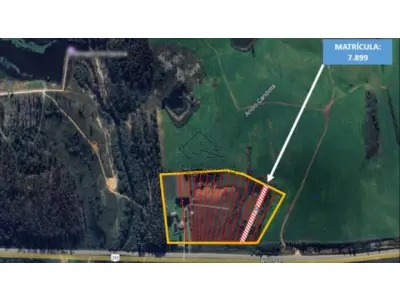 LOTE 031 - Lotes - 02, 03, 04 e 05 na Estrada Federal BR-293 (KM 136,5), Candiota/RS. Com áreas superficiais de 3.921,41m², 4.636,86m², 4.159,69m² e 4.290,78m² respectivamente.