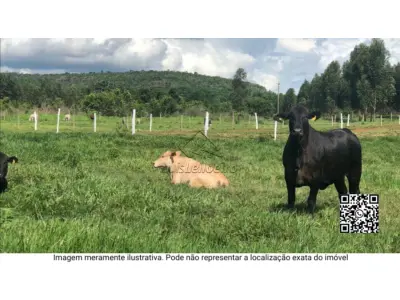 LOTE 009 - Gleba de terras - na Fazenda Rex , com área total de 20.856,07 m²