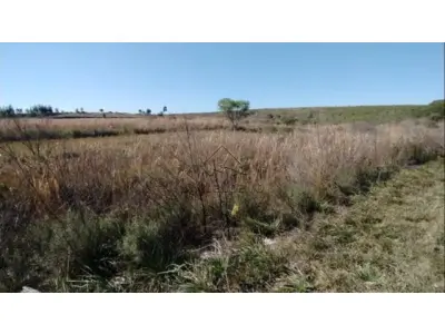 LOTE 031 - Lotes - 02, 03, 04 e 05 na Estrada Federal BR-293 (KM 136,5), Candiota/RS. Com áreas superficiais de 3.921,41m², 4.636,86m², 4.159,69m² e 4.290,78m² respectivamente.