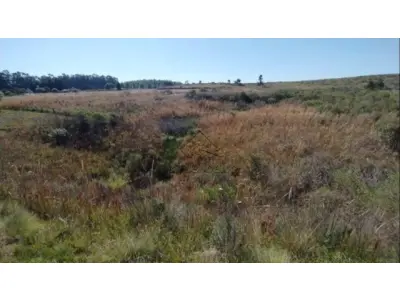 LOTE 031 - Lotes - 02, 03, 04 e 05 na Estrada Federal BR-293 (KM 136,5), Candiota/RS. Com áreas superficiais de 3.921,41m², 4.636,86m², 4.159,69m² e 4.290,78m² respectivamente.