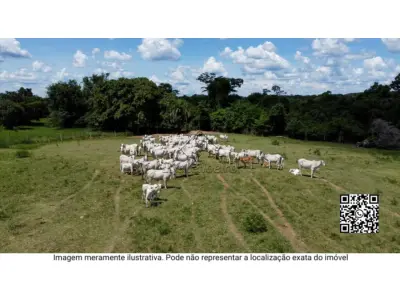 LOTE 0061 - PROPRIEDADE RURAL NO LUGAR DENOMINADO FAZENDA PEDRA VERMELHA, GUAPÉ/MG, COM A ÁREA DE 82,53,00 HECTARES