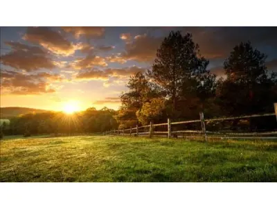 LOTE 0893 - Área de terras - Rua 25 de Julho, lote 49, quadra 08, Centro, Setor 01