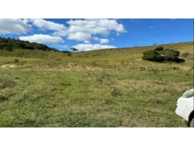LOTE 02711 - FAZENDA IPE III, GLEBA B E C, SANTA ROSA DE VITERBO/SP, COM ÁREA DE 26,2095 HÁ.