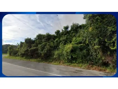 LOTE 06635 - TERRENO - Área de terreno designada como Área A com 4.584,20 m², localizada na Rodovia Monsenhor Clodoaldo de Paiva, bairro Rio do Peixe, município de Águas de Lindóia/SP.