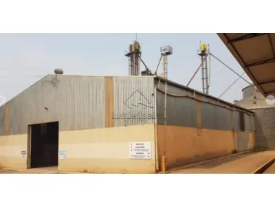 LOTE 0181 - 50% do Imóvel Industrial - localizado na rua josé grecco, n. 191, bairro caputera, em itapeva/sp, contendo galpão de 1.250,33 m², silo de armazenagem de 145,27 m², refeitório e outras benfeitorias.