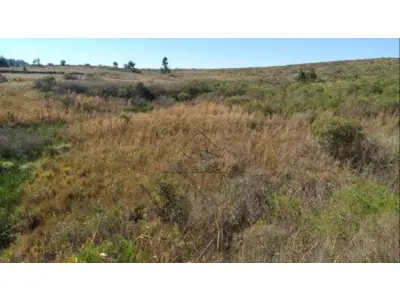 LOTE 031 - Lotes - 02, 03, 04 e 05 na Estrada Federal BR-293 (KM 136,5), Candiota/RS. Com áreas superficiais de 3.921,41m², 4.636,86m², 4.159,69m² e 4.290,78m² respectivamente.