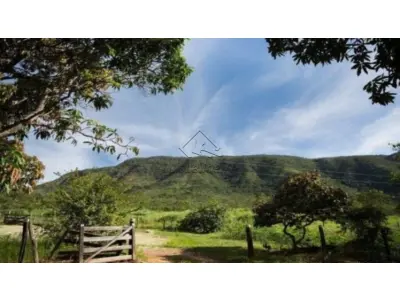 LOTE 0040 - FAZENDA RENASCER - ANTIGO ENGENHO SANTO ANTÔNIO, COLÔNIA LEOPOLDINA/AL, COM ÁREA TOTAL DE 180,2 HECTARES