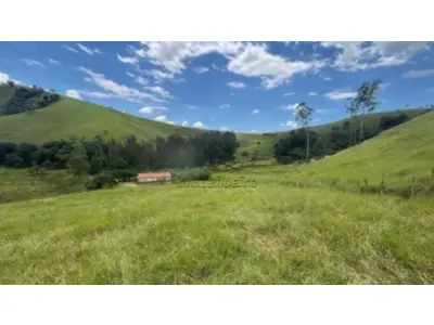 LOTE 00621 - Área de terras - 51 HECTARES DA FAZENDA ABISMO, LOCALIZADA NO MUNÍCIPIO DE MARAIAL/PE