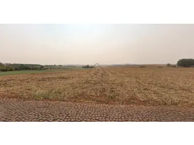 LOTE 08901 - LOTE - Lote com área de 750,00 m², Distrito de São Miguel do Cambuí, Marialva/PR. (PARCELAMENTO EM ATÉ 60 MESES)