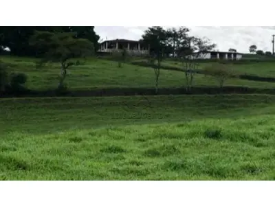 LOTE 00716 - Imóvel Rural - Sítio Lages Zona rural, Canapi - AL,