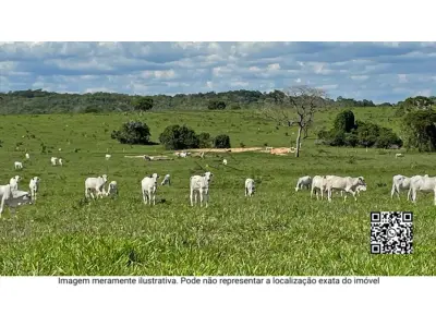 LOTE 00881 - Uma sorte de terras - na Fazenda Manabuiu , Lagoa Grande