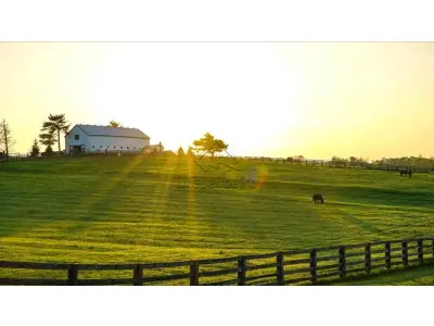 LOTE 0202 - FAZENDA DOS FERROS 17,5HA - TRÊS CORAÇÕES