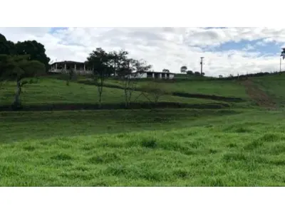 LOTE 008 - Fazenda - Nossa Senhora de Lourdes , Itaquitinga