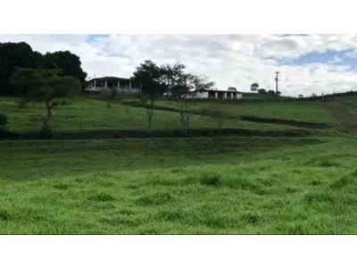 LOTE 0022 - Fazenda Cruzeiros , Uberlandia com area total de 133,4239ha