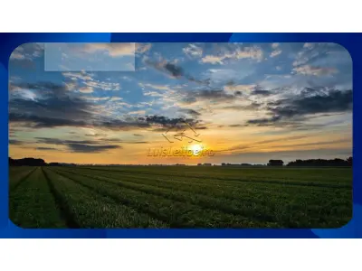 LOTE 0015 - ENGENHO RICO - CABO DE SANTO AGOSTINHO/PE. COM ÁREA DE 347,5 HA