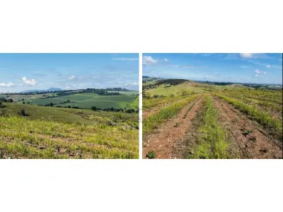 LOTE 000 - FAZENDA EM TRÊS CORAÇÕES 187HECTARES