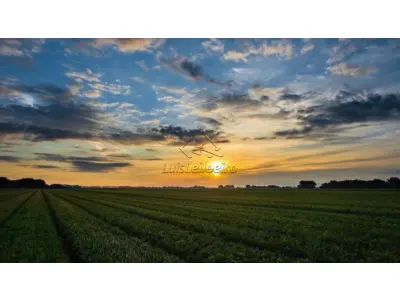 LOTE 0302 - 30% de Área de terra - Área de 980m2, Bairro Gerivã, Zona Rural de Caldas - MG