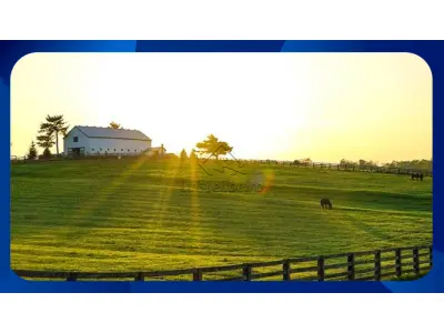 LOTE 0066 - Fazenda dos Angicos ,situado no município de Porteirinha 2.164,50 mil hectares