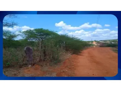 LOTE 0262 - SÍTIO - Parte de terra localizada na Fazenda Tanque Novo, à margem esquerda da Rodovia BR-316 (sentido Ouricuri-Trindade), com área total de 10,00 hectares, localizada no município de Ouricuri/PE.