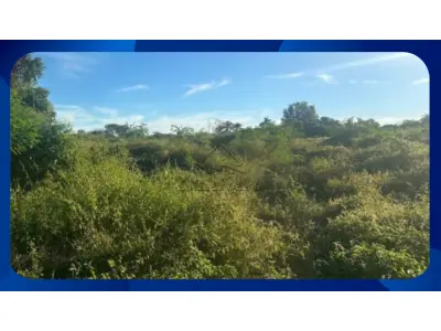LOTE 000 - GLEBA DE TERRAS - Parte da Área nº 6, Fazenda Barra da Onça, Governador Valadares/MG