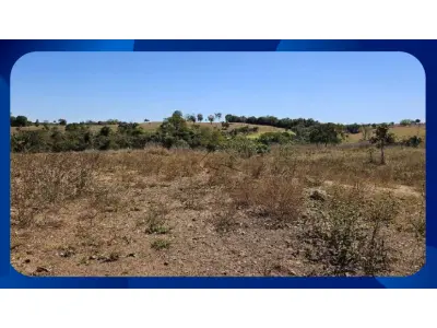 LOTE 000 - GLEBA DE TERRAS - Área de 3 hectares (30.000m²), desmembrada do Engenho Nova Esperança, Km 121 da BR 101, Palmares/PE