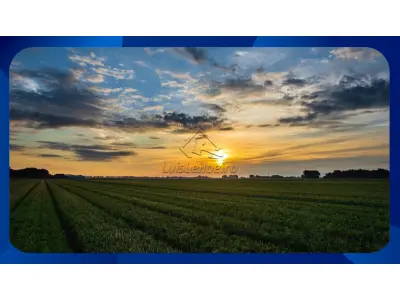 LOTE 02729 - 1/12  DO IMÓVEL -  Com Área total de 28,03ha, Localizado em um lugar denominado Rio das Pedras, no Distrito de Águas Santas, Zona Rural do Municipio de Tiradentes/MG