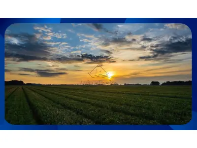 LOTE 0293 - Gleba de terras, localizada no Sitio Gameleira 2, Fundo do Saco, Zona Rural, Ipubi/PE, com área de 8,90,00 há e benfeitorias.