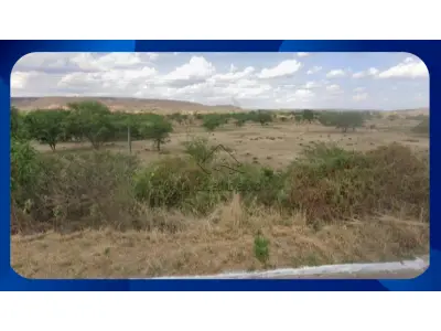 LOTE 025 - UMA GLEBA DE TERRAS, R. Joaquim Jose Modesto, SITUADA NO SÍTIO ALAGOINHA, ZONA RURAL, ARARIPINA/PE