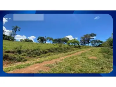 LOTE 015 - IMÓVEL RURAL DENOMINADO ENGENHO LAUREANO, LOCALIZADO NO MUNICÍPIO DE ALIANÇA/PE, COM 150 HECTARES.