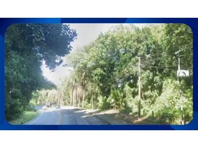 LOTE 000 - SÍTIO - Lotes P09, P20 e P21, Área não informada, Sítio Pontal, Angra dos Reis/RJ