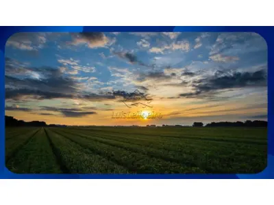 LOTE 0292 - FAZENDA - Área de 90.000m² (9,0 hectares), lugar denominado Chã do Boi, Quipapá/PE