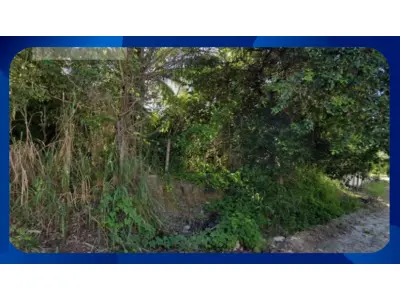 LOTE 02141 - 6 LOTES GOIANA (PE): LOTES DE Nº02, 03, 04, 05, 15, 16, 17 DA QUADRA 26, INTEGRANTE DO LOTEAMENTO CATUMA DE CIMA - Fale com o leiloeiro (035-99710-0861)