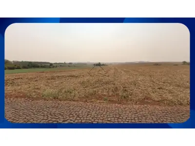 LOTE 038 - LOTE - Lote com área de 750,00 m², Distrito de São Miguel do Cambuí, Marialva/PR.