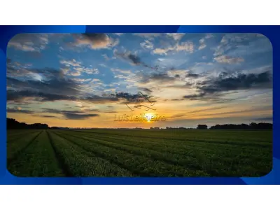 LOTE 102 - FAZENDA - Lugar Bom Jardim, Campo Belo/MG, com casa de residência e todas as dependências e instalações, Área de 108,20 hectares